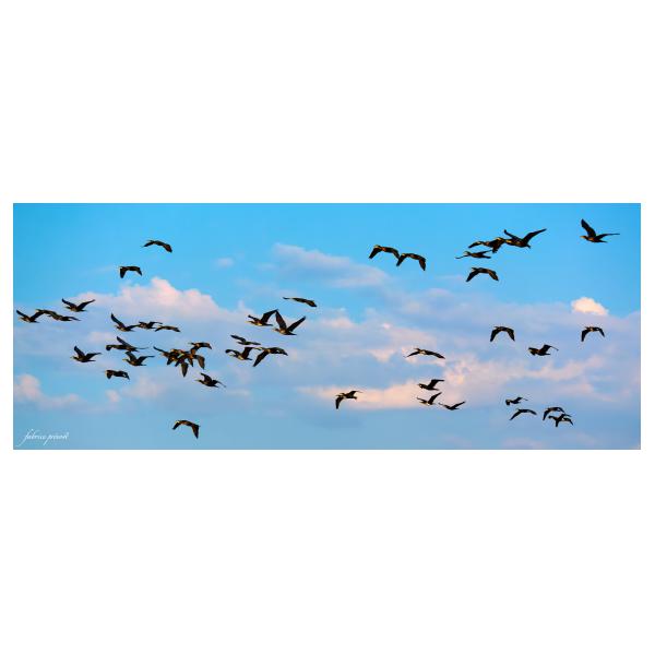 PHOTO84, CLUB, 84 , LUBERON